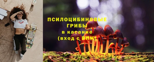 молекула духа Кинешма