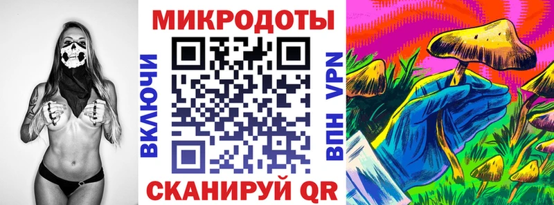 Купить закладки  Гаврилов-Ям  Псилоцибиновые грибы Psilocybine cubensis 